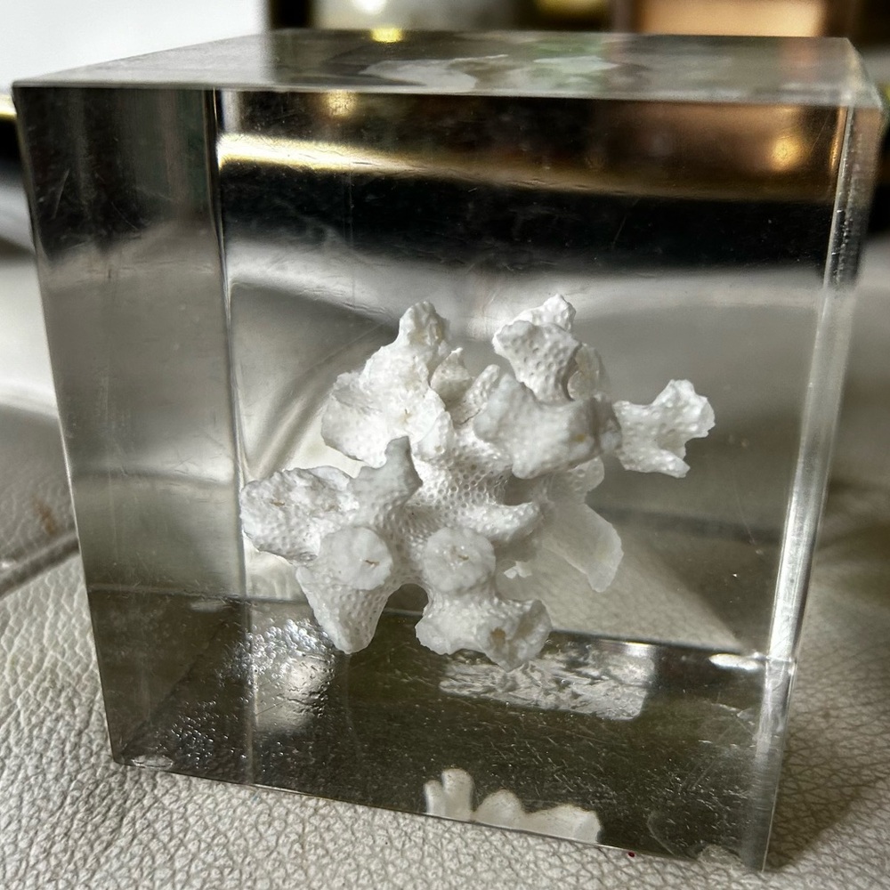 Acrylic resin white coral specimen cube 3 x 3 x 3“ good condition